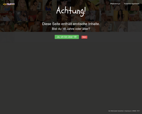 Transendating.com Logo